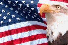 flag-and-eagle-pictures.jpg