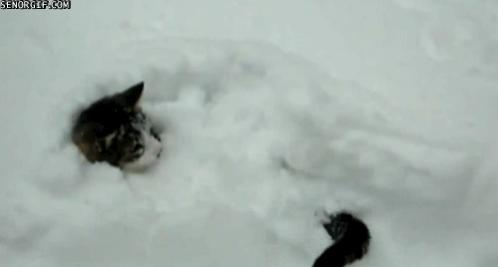 Name:  funny-gifs-stuck-in-the-snow.gif.cf.jpg
Views: 204
Size:  8.2 KB