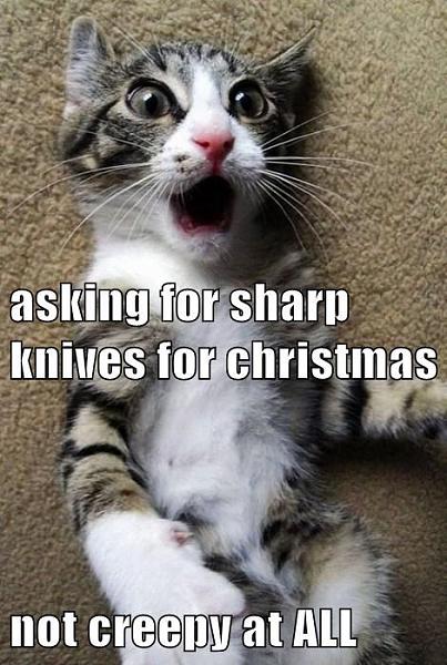 Click image for larger version. 

Name:	asking-for-sharp-knives-for-christmas-not-creepy-at-all.jpeg.jpg 
Views:	136 
Size:	78.1 KB 
ID:	88251