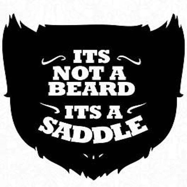 Name:  beard saddle.jpg
Views: 463
Size:  32.3 KB