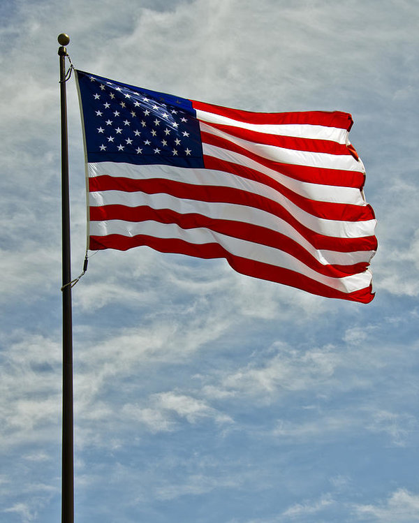 Name:  the-american-flag-waving-in-the-wind-leeann-mclanegoetz-mclanegoetzstudiollccom.jpg
Views: 152
Size:  88.6 KB