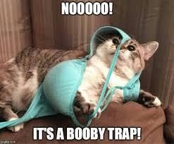 Name:  booby trap.jpg
Views: 562
Size:  9.6 KB